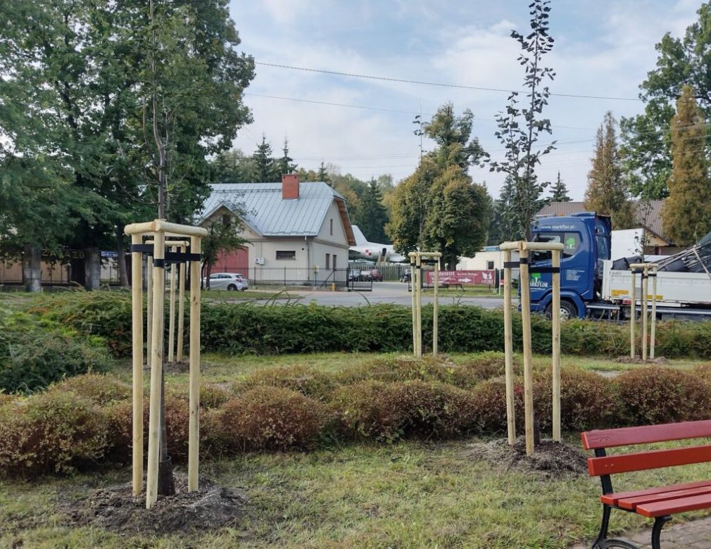 W Skarżysku sadzonych jest 95 nowych drzew